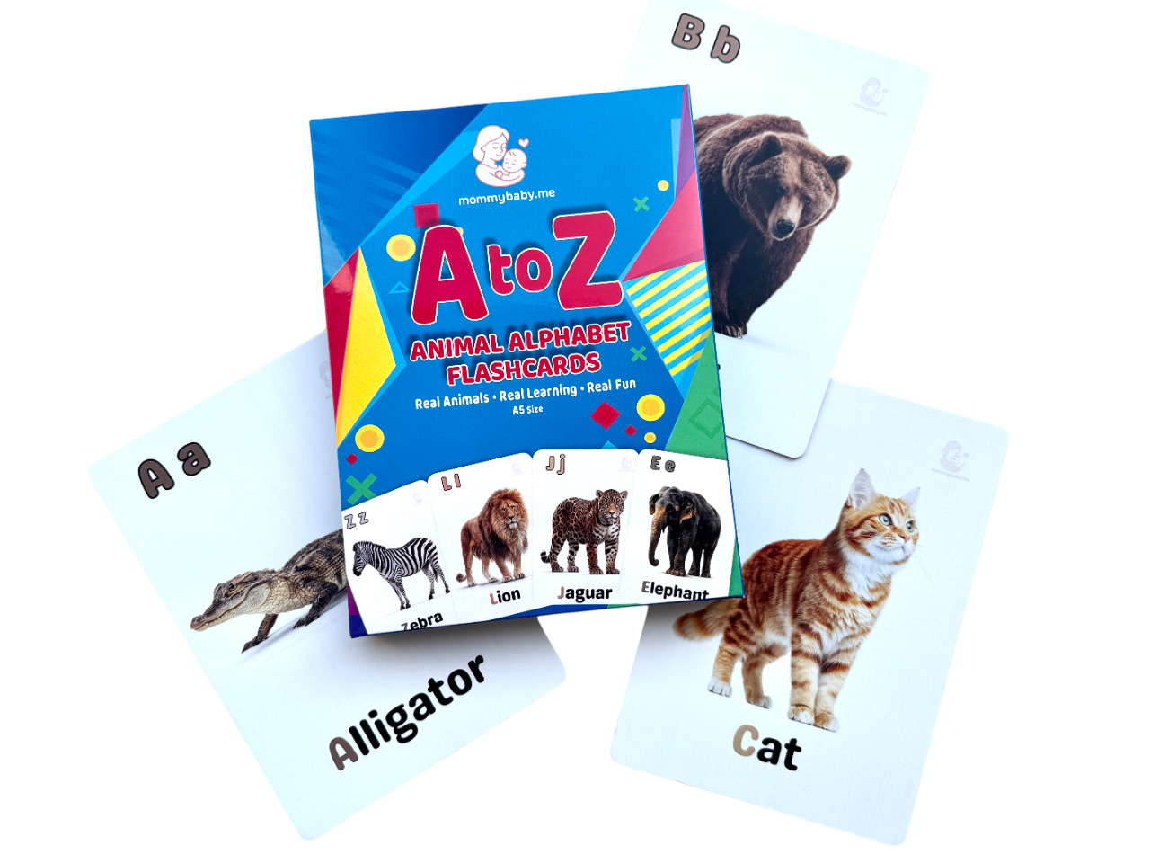 A5 Animal & Alphabet Flashcards