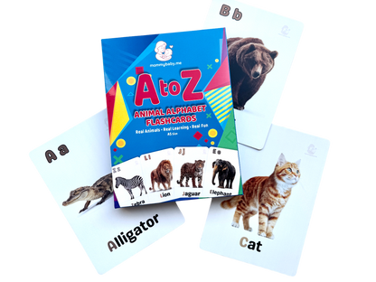 A5 Animal & Alphabet Flashcards